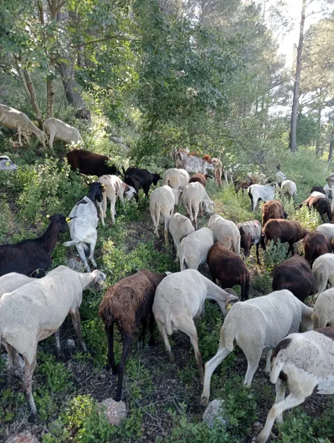 PHOTO 2026 04 17 16 08 51 2